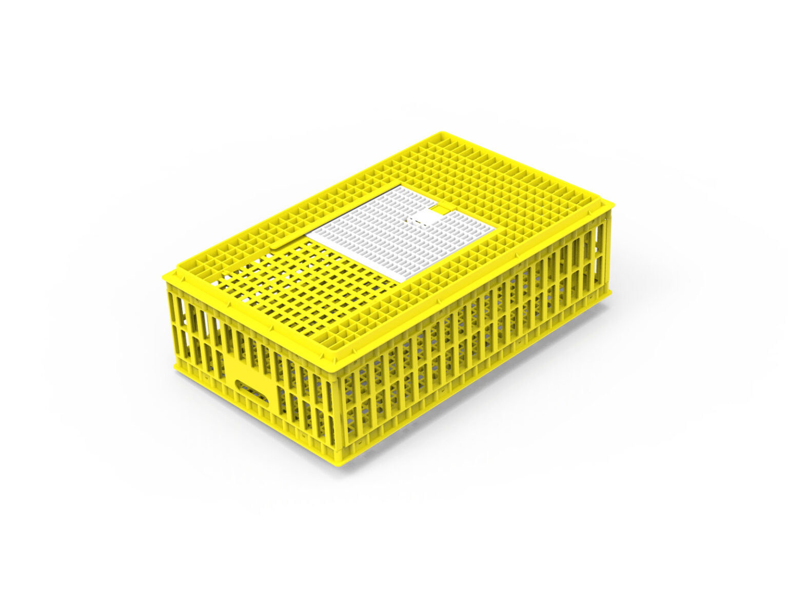 LIVE CHICKEN CAGE